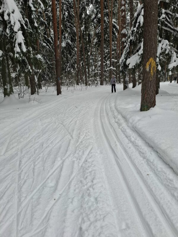 Трасса лыжная Цаговский лес, состояние на 12 января 2026 по отзыву, фото 7. 